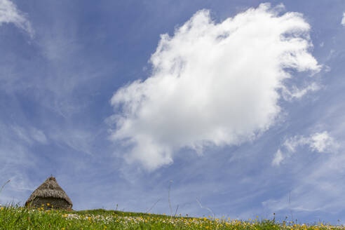 Kleines Haus mit schäbigen Steinmauern und Strohdach auf einem grasbewachsenen Hügel unter blauem, bewölktem Himmel in Saliencia Somiedo in Spanien - ADSF30323