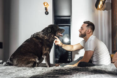 Lächelnder erwachsener Mann streichelt Hund im Schlafzimmer - VPIF04926