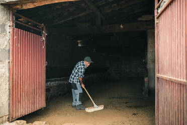 Senior male goat herder cleaning shed - GRCF00900