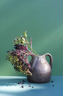 Studio shot of jug with elderberries and rose hips - GISF00842