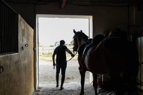 Rückenansicht eines nicht erkennbaren Mannes in Reitstiefeln, der einen Hengst aus dem Stall holt, auf dem Lande bei Tag - ADSF30374