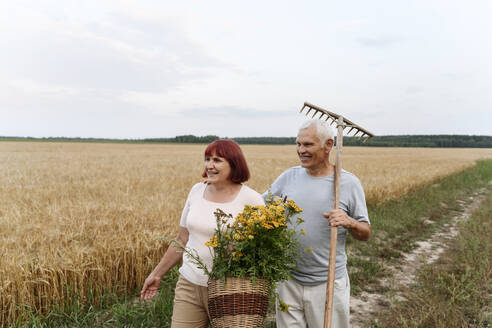 Älteres Ehepaar mit einem Korb mit Rainfarnblüten und einer Harke, die am Weizen vorbeigeht - EYAF01763
