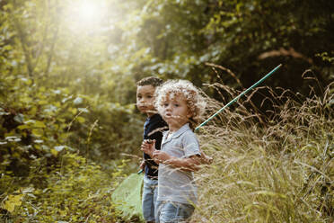 Jungen stehen zusammen im Wald an einem sonnigen Tag - MRRF01523