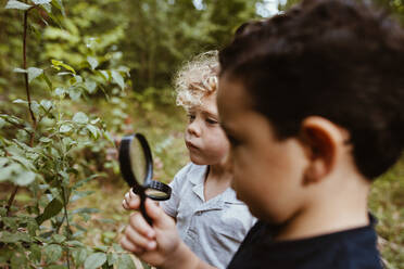 Curious boys looking at plants through magnifying glass - MRRF01529