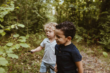 Boys with magnifying glass standing near plants in forest - MRRF01531
