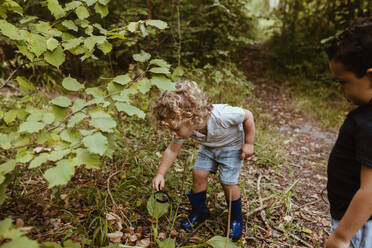 Junge, der mit einem männlichen Freund im Wald eine Pflanze durch ein Vergrößerungsglas untersucht - MRRF01532