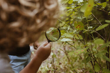 Boys examining rotten leaf through magnifying glass - MRRF01533