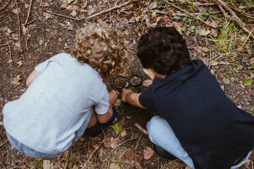 Boys playing with magnifying glass while crouching in forest - MRRF01540