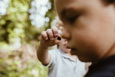Junge zeigt einem männlichen Freund im Wald ein Insekt - MRRF01544