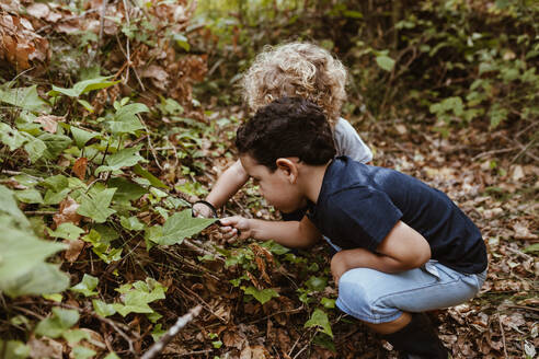 Neugierige männliche Freunde, die im Wald kauernd Pflanzen durch ein Vergrößerungsglas untersuchen - MRRF01547