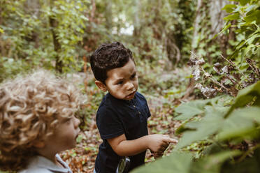 Boy pointing at plant while talking with male friend in forest - MRRF01551