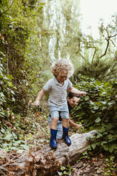 Boy playing with male friend while standing on log in forest - MRRF01552