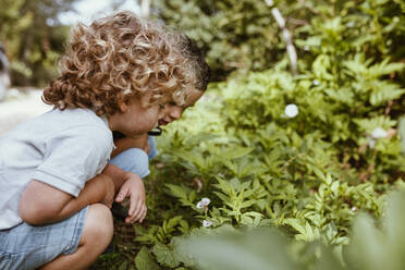 Boys looking at flowers while crouching near plants - MRRF01556