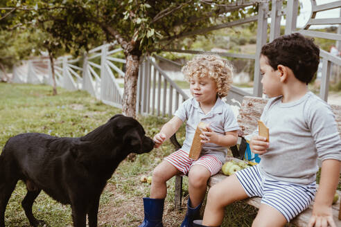 Junge schaut auf männlichen Freund, der seinen Hund streichelt, während er auf einer Bank sitzt - MRRF01593