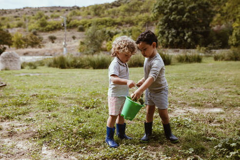 Jungen mit Eimer sammeln Birnen auf einer Wiese - MRRF01602