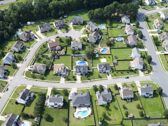 USA, Virginia, Chesapeake, Aerial view of suburban homes in summer - BCDF00609