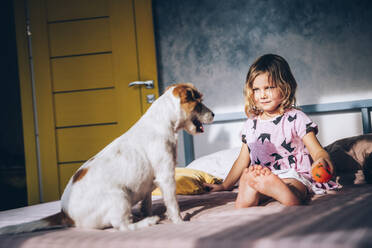 Niedliches Mädchen mit Spielzeug schaut auf Jack Russell Terrier auf dem Bett - OMIF00086