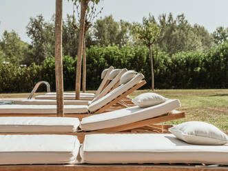 White loungers placed in row near pool in green garden of resort on sunny day in summer - ADSF30441