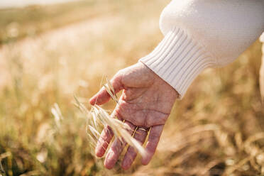 Woman touching dried plants - GRCF00919