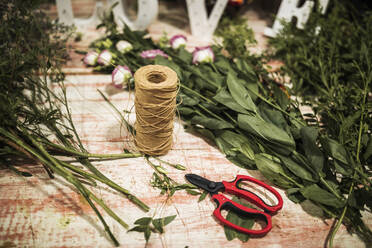 Plants and scissors with thread on table - GRCF01001