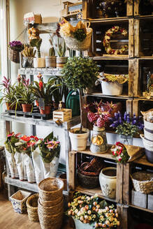 Plants and bouquets arranged on rack in store - GRCF01006