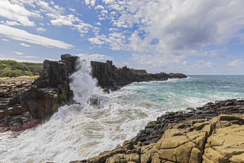 Australien, New South Wales, Kiama, Geologische Stätte Bombo Headland Quarry - FOF12207