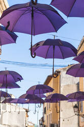 Lila Regenschirme hängen unter dem Himmel - JAQF00806