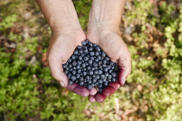 Älterer Mann mit Heidelbeeren - EYAF01774