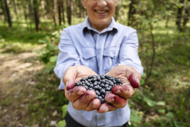 Smiling senior man holding blueberries in forest - EYAF01779