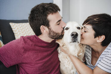 Male and female owner kissing Golden Retriever at home - EBBF04672