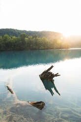 Lakeshore driftwood in Plitvice Lakes National Park - JAQF00827