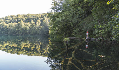 Female hiker walking on fallen lakeshore tree in Plitvice Lakes National Park - JAQF00834