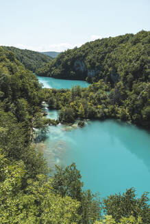 Blick auf die leuchtend türkisfarbenen Seen im Nationalpark Plitvicer Seen - JAQF00843
