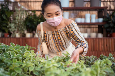 Crop young ethnic female shopper in protective mask touching foliage of tropical green plant in garden store - ADSF30641