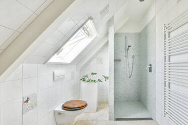 Kreative Gestaltung eines Badezimmers mit Dusche und Toilettenbecken unter dem Fenster in einem hellen Haus - ADSF30777