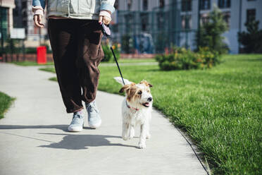Frau mit Jack Russell Terrier beim Spaziergang im Park - OMIF00096
