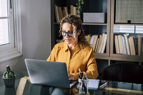Reife Geschäftsfrau arbeitet am Laptop im Büro zu Hause - SIPF02472