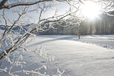 Woman skiing on snow during winter - HHF05692