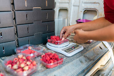 Seitenansicht einer aufmerksamen Gärtnerin, die das Gewicht von reifen Himbeeren auf einer digitalen Waage im Kofferraum eines Lieferwagens misst - ADSF30786