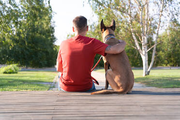 Back view of anonymous tattooed male embracing Malinois on wooden platform against green trees in sunny park - ADSF30820