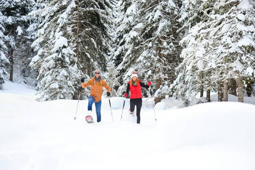 Pärchen in Skikleidung beim Schneeschuhwandern durch Nadelbäume im Winter - HHF05715