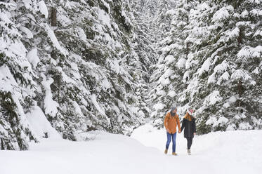 Mittleres erwachsenes Paar, das im Winter bei Schnee inmitten von Kiefern spazieren geht - HHF05721