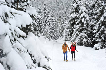 Frau geht mit Mann im Winter im Schnee spazieren - HHF05726