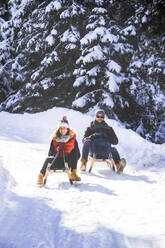 Mid adult couple tobogganing on snow - HHF05729