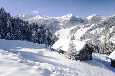 Frozen alms during winter in Salzburger Land, Austria - HHF05761