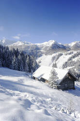 Scenic mountains and alms on snow during winter in Salzburger Land, Austria - HHF05762