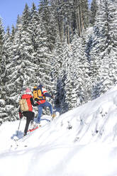 Couple snowshoeing by frozen pine trees during winter - HHF05767