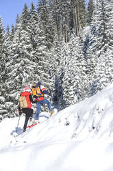 Paar beim Schneeschuhwandern an gefrorenen Tannenbäumen im Winter - HHF05767