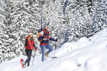 Mann und Frau wandern im Winter im Schnee bei Kiefern - HHF05768