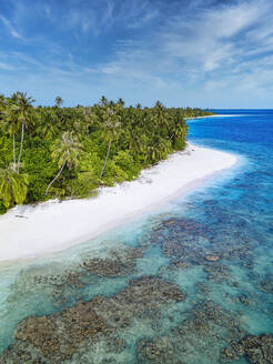 Maldives, Kolhumadulu Atoll, Aerial view of forested coastline of Kanimeedhoo island - KNTF06390